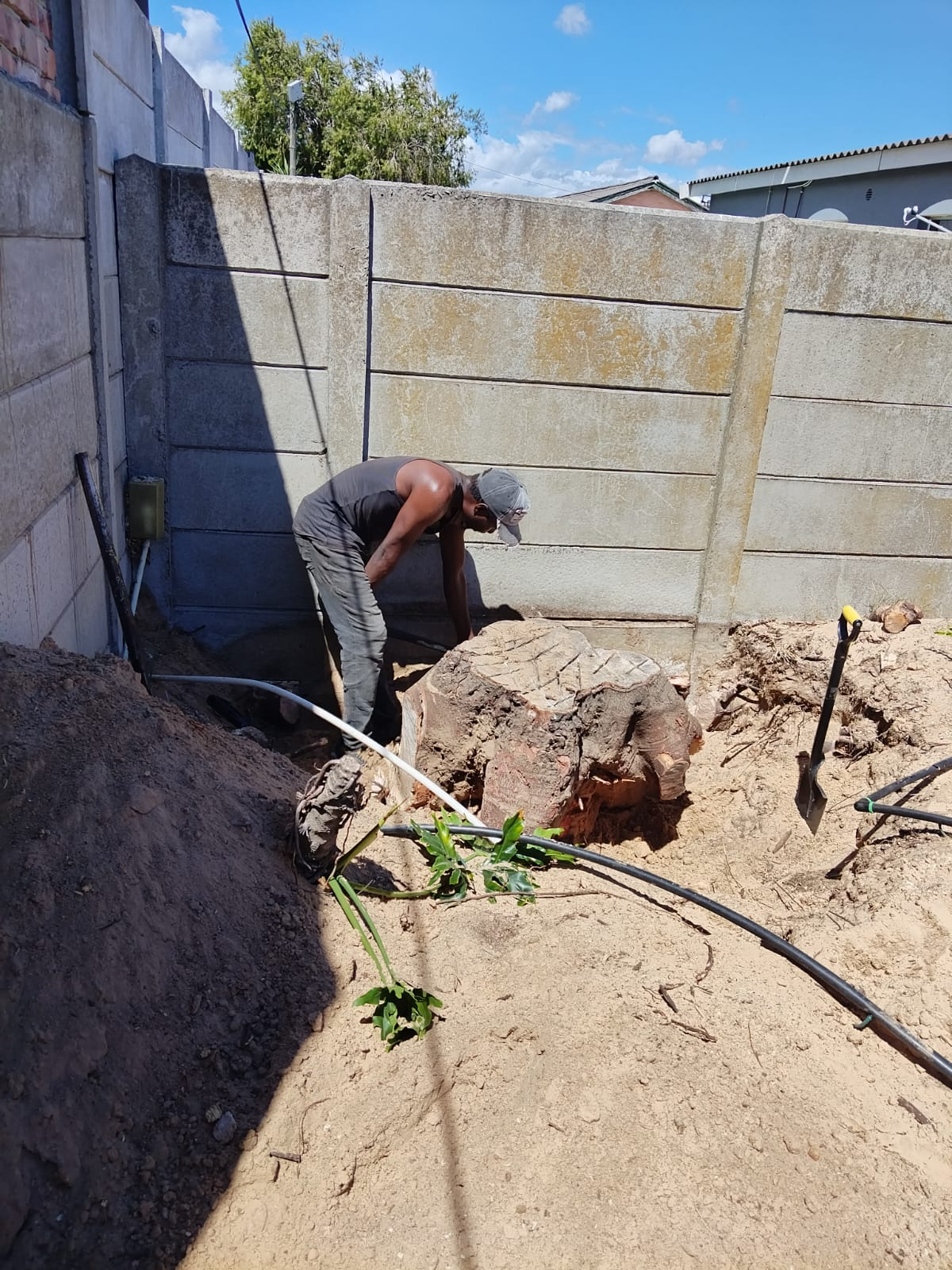 Stump removal